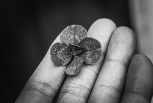 phản hồi F8bet
